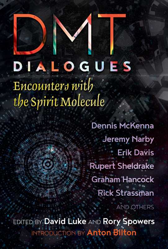 DMT Dialogues by: Paperback 352 pages / English