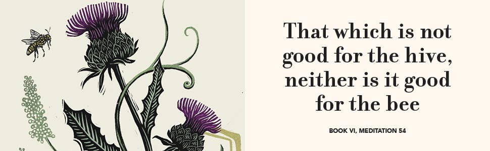 The Illustrated Meditations