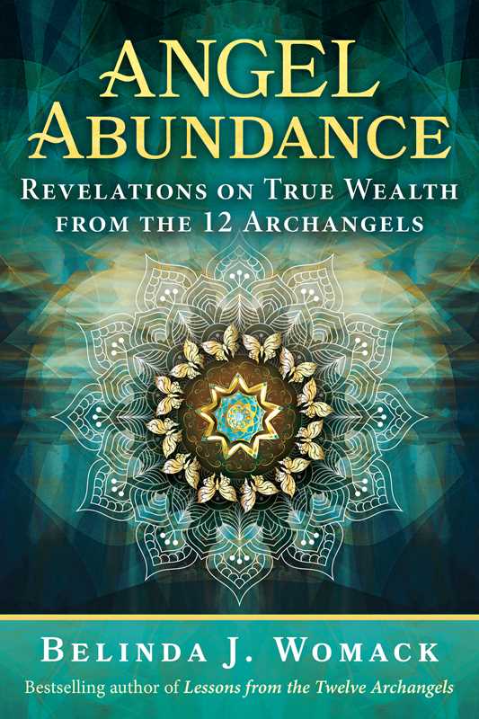 Angel Abundance by Belinda J. Womack: Paperback 272 pages / English