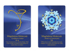 Magdalene Manifestation Cards by Danielle Rama Hoffman: Flashcards